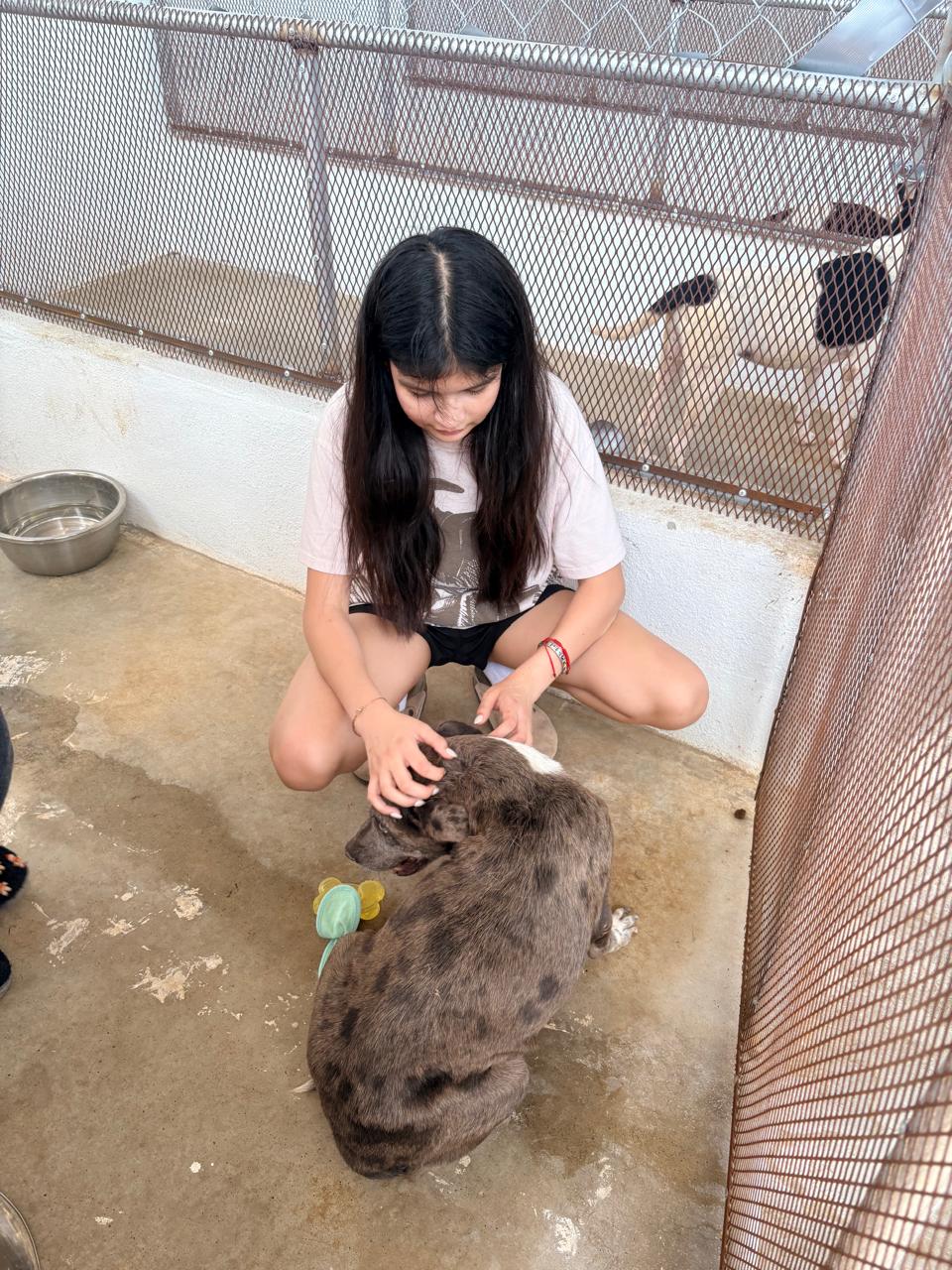 Centro de Bienestar Animal Kely